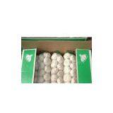 Sell Garlic thumbnail-1