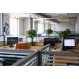 the Leading Products of China of Carpet Underlay thumbnail-3