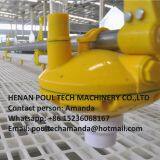 Mozambique Poultry Farm Equipment Chicken Shed Plastic Saltted Floor System for Broiler Chicken & Floor Raising System With Automatic Nipple Drinker System & Feeding Pan System