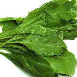 IQF Spinach leaves