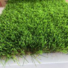 Artificial Turf DS25008 thumbnail-3