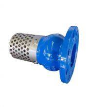 JIS/ANSI/DIN Pn16 Flanged Cast Iron Gg25 Foot Valve With Stainless Steel Mesh for Water Pump Bottom Valve thumbnail-5