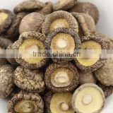shiitake mushroom from yunnan