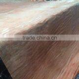 0.22-0.35mm Plywood Face Bintangor Wood Veneer thumbnail-4
