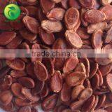 Chinese Roasted Watermelon Seed thumbnail-1
