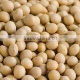 Food Grade Soy Bean Oil thumbnail-1