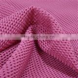 Polyester mesh fabric for lining