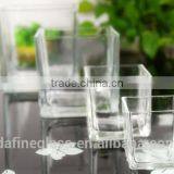 Square Hydroponic Succulent Plants Flowerpot Glass Vase thumbnail-3