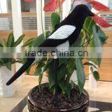 Fullbodied Flocked Plastic Magpie Hunting Decoys for Outdoor Hunting thumbnail-6