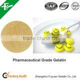 Medical Grade Gelatin for Making Capsules
