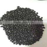 Black Bean thumbnail-1