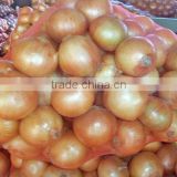 Yellow onion in 10kg mesh bag package.MOQ:1X40FCL.