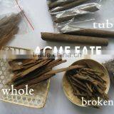 High Oil Content Cassia Cinnamon