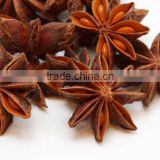 Star anise / aniseeds without stems grade 1 from Vietnam - Best price & best quality for export