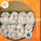 Fresh Garlic 2016 Crop Natural Garlic thumbnail-5