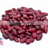 Kidney Beans, Red Kidney Beans thumbnail-1