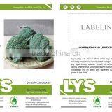 NBR02 Chaduo Hybrid Broccoli Seeds Different Types of Seeds thumbnail-2