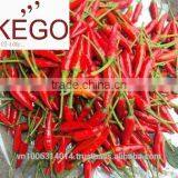 High Quality Fresh Spicy Chilli Vietnam Full Size thumbnail-6