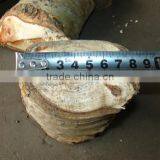 China Supplier 18-50hp Diesel Wood Chipper Shredder Machine thumbnail-5