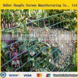 HDPE Plastic Square Netting thumbnail-5