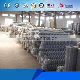 Hot Sale Factory Best Price High Quality Chain Link Galvanized Fences thumbnail-5
