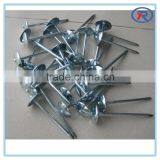 China Roofing Nail With Washer/Umbrella Roofing Nails thumbnail-1