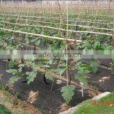 2015 TOP SELLING CROP COVER thumbnail-5