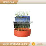 Outdoor Home Garden Smart Vegetable Pot Growing Raised Bed thumbnail-3