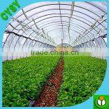 100 Micron Blow Molding Greenhouse Film/agriculture Plastic Cover thumbnail-4