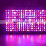 Lightess Led Lights Grow Light 1000w Double Chips Growing Lighting Full Specturm for Greenhouse and Indoor Plant Flowering thumbnail-4