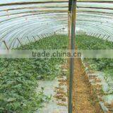 Anti-aging Agricure Film thumbnail-1