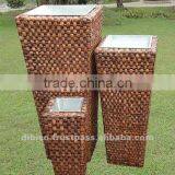 Indoor Water Hyacinth Flower Planter 2012