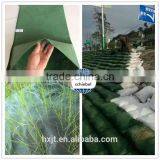 High Tensile Strength River Banks Slope Afforest Bag Geotextile Sand Bag Price thumbnail-6