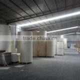 Double PE-coated Paper For Making Paper Cup In Roll thumbnail-1