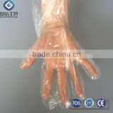Disposable Medical Use PE Gloves/LDPE Glove Foodservice/Household thumbnail-2