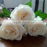 Natural Fresh Cut White Rose Flower Mother's Day Gift Processing Type Export From Yunnan thumbnail-3