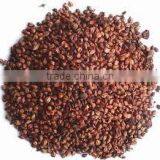 Grape Seed Extract thumbnail-2