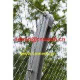 X-tend Brillant Wire Rope Mesh For Zoo Security thumbnail-3