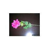 Flower thumbnail-1