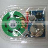 Custom Sound Chip for Toy /clothes and Shoes With Light