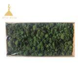 Hot Selling Green Moss Grass Wall for Decoration thumbnail-2