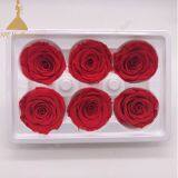 A Grade Fresh Cut Roses Preserved Flower From Ecuador Wholesale Longlasting Flower thumbnail-1