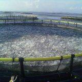 Salmon Cages Anti-oxidant Aquaculture Cage System thumbnail-2