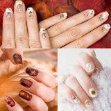 Autumn Autumn Nail Art Applique 3 d Nail Self-adhesive Paper ms Maple Leaf Sunflower Squirrel is Suitable for the Girl Child to Get Pumpkins DIY Design Nail Nails on Thanksgiving Day thumbnail-5