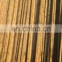 Premium Quality Best Price Real Bamboo Various Size Using for Decoring Furniture From Viet Nam Manufacturer thumbnail-3