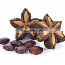 100% Organic Sacha Inchi Wholesale/Supply SACHA INCHI From VIETNAM With Good Price thumbnail-2