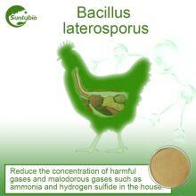 Bacillus Laterosporus thumbnail-2