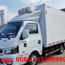 Customized Dongfeng Tuyi 4*2 LHD Petrol Engine Mini Refrigerated Van Truck for Sale 0.5T-1T thumbnail-2