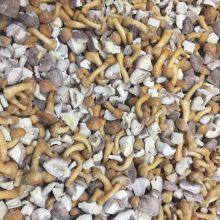 Hebei Hangen Import And Export Co.,ltd company overview - view 4 thumbnail