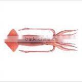 WR Frozen Illex Squid - Whole, Tube, Rings and Tentacles thumbnail-1